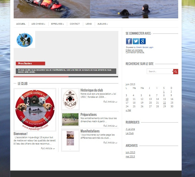 Aquadogs 18