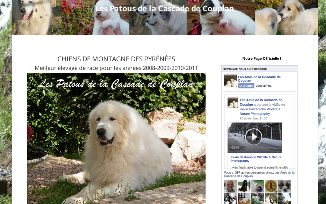 Les Patous de la Cascade de Couplan